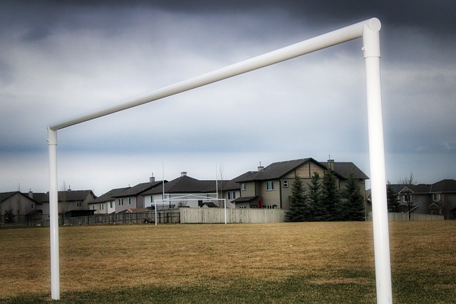 泪目，若塔遗孀被邀请到葡萄牙超级杯现场，全场球迷起立致意